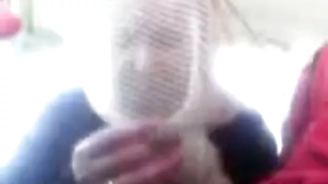 18 yo camgirl ले गितार जस्तै आफ्नो सुन्दर बिल्ली स्ट्रोक