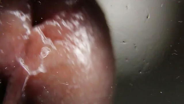 स्लुटी सेतो कुतिया आफ्नो साथी संग जंगली सेक्स गर्दैछ